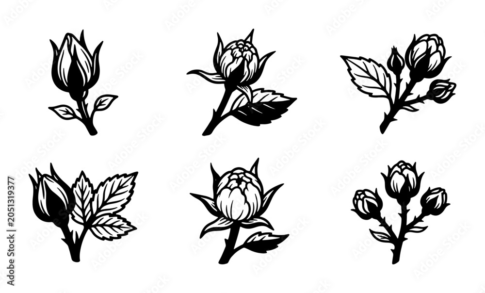 Fototapeta premium Black and White Rose Buds Vector Set, Vintage Floral Elements, Botanical Illustration Collection
