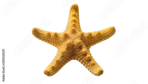 Konstfotografi Yellow starfish with textured surface and raised bumps