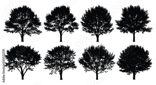 Tableau sur toile Tree Silhouettes Collection On White Background Botanical Shapes
