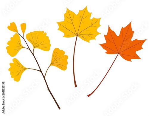 A colorful illustration of three autumn leaves on stems