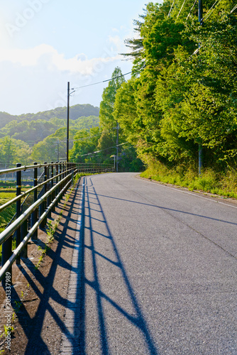 田舎の道路