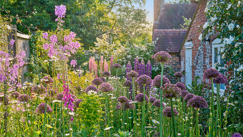 Quadro su tela A traditional English country cottage garden with flowers in summer