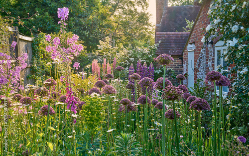 A traditional English country cottage garden with flowers in summer