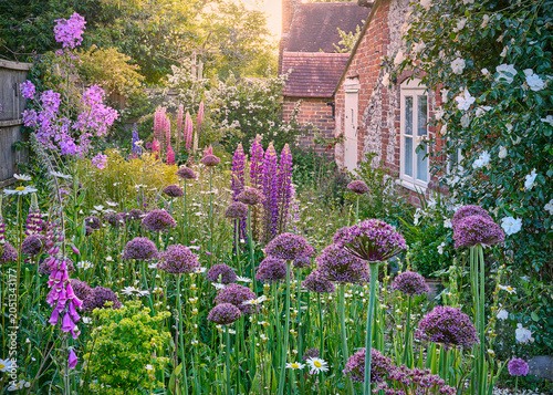 A traditional English country cottage garden with flowers in summer