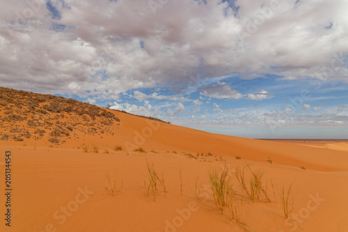Fotografía Characteristic desert landscape of Mauritania
