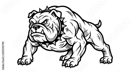 Bild auf Leinwand Fierce Bulldog Illustration with Spiked Collar