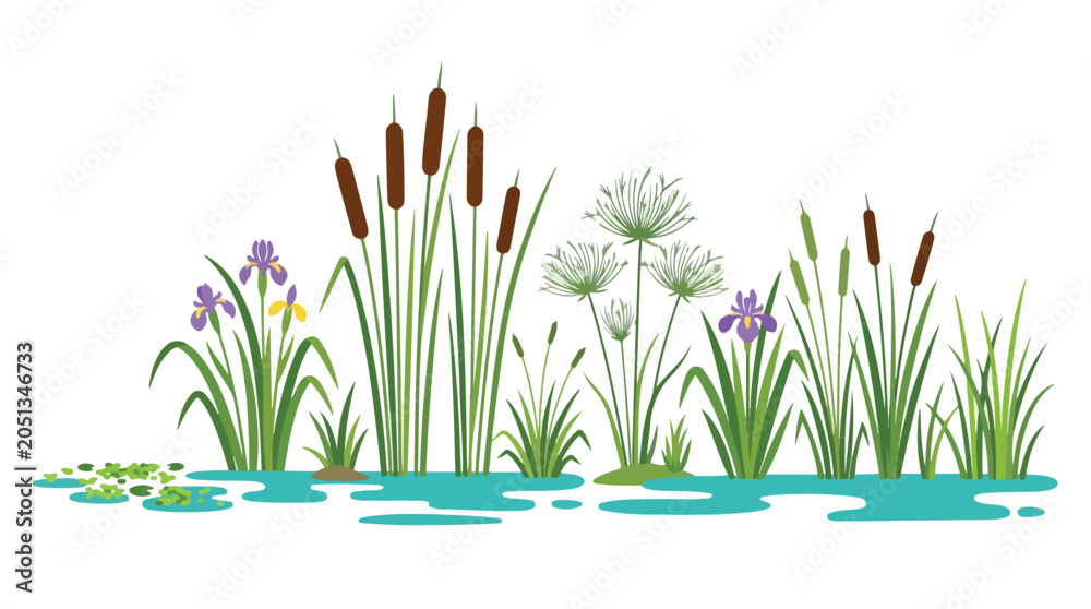 Fototapeta premium Beautiful natural scene of lush green reeds and water lilies growing along a tranquil pond or lake edge in a peaceful