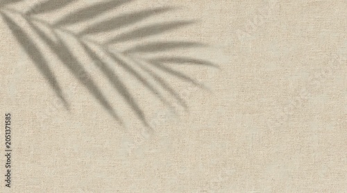 A serene beach scene with a palm tree casting a shadow on the sand