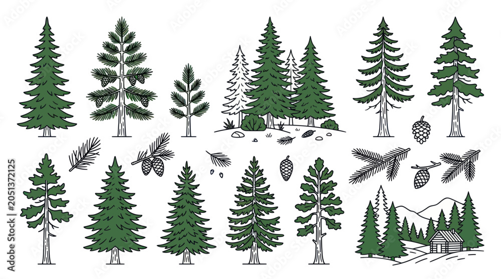 Obraz premium Coniferous Forest Trees and Pine Cones Hand Drawn Sketch Collection