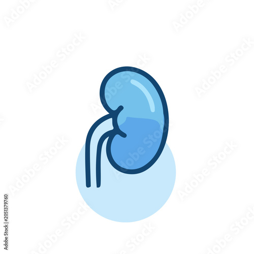 Human Kidney Organ Icon Medical Illustration