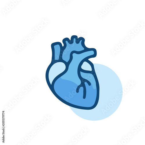 Anatomical Human Heart Icon for Medical and Healthcare Design