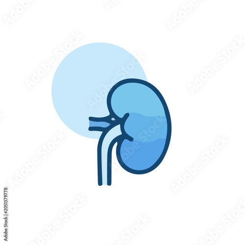 Human Kidney Icon Illustration for Medical and Health Concepts
