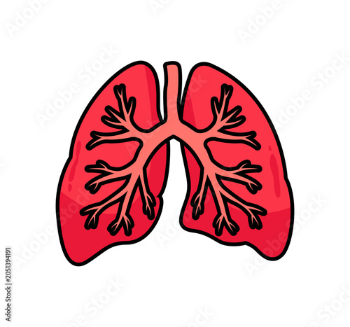 Foto Anatomical lungs icon with bronchial tree respiratory system concept