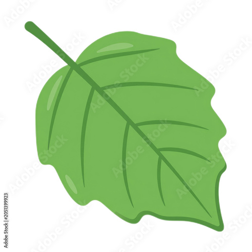 A fresh, vibrant green leaf with detailed veining and smooth, curved edges, isolated on a white background