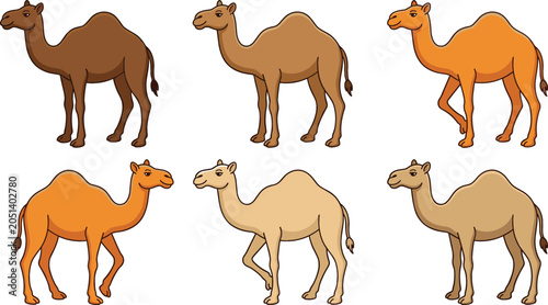 Photography Cartoon Camel Character Vector Set Showing One Humped Dromedary Animals in Diffe