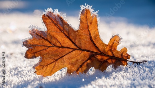Frozen Oak Leaf With Intricate Ice Crystals On Snowy Ground