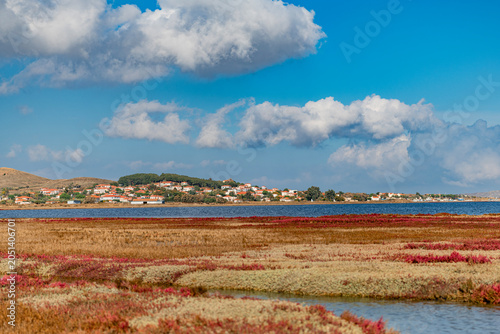 Photos Lemnos, Greece - October 23, 2025: Vibrant red glasswort vegetation in the wetlands of Moudros Bay with the village of Nea Koutali in the background