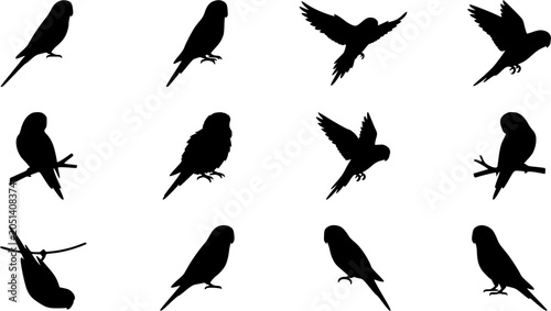 Budgerigar birds silhouette icon set, flat black glyph style, pure white background