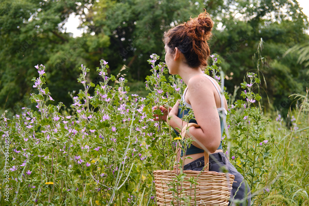 Obraz premium Woman picking wild flowers in summer meadow with basket. unrecognizable person