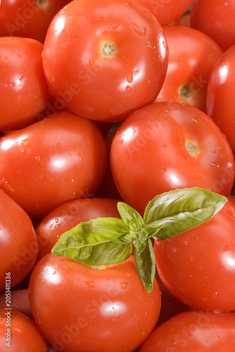 tomate05
