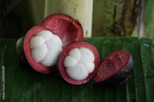 Photos Freshly Halved Mangosteen Queen of Fruits on Wet Banana Leaf