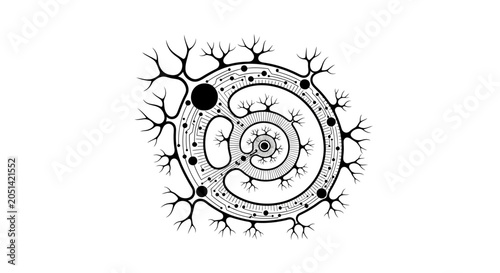 Neuron cell structure with dendrites.