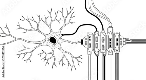 Neuron cell with dendrites and axon.