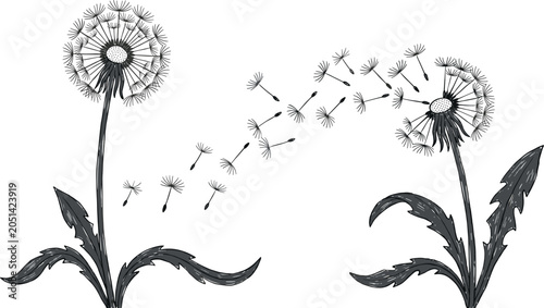 Tableau sur toile Dandelion Flower Collection with Blowing Seeds, Botanical Silhouettes, Nature Il