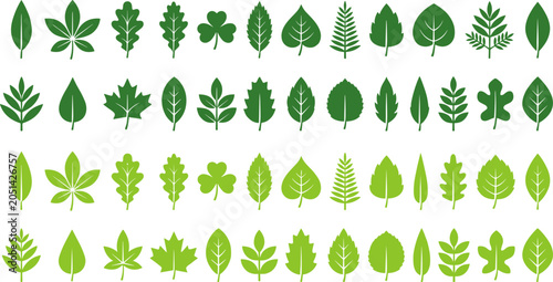 Photos Leaf illustration collection featuring botanical graphics, foliage designs, plan