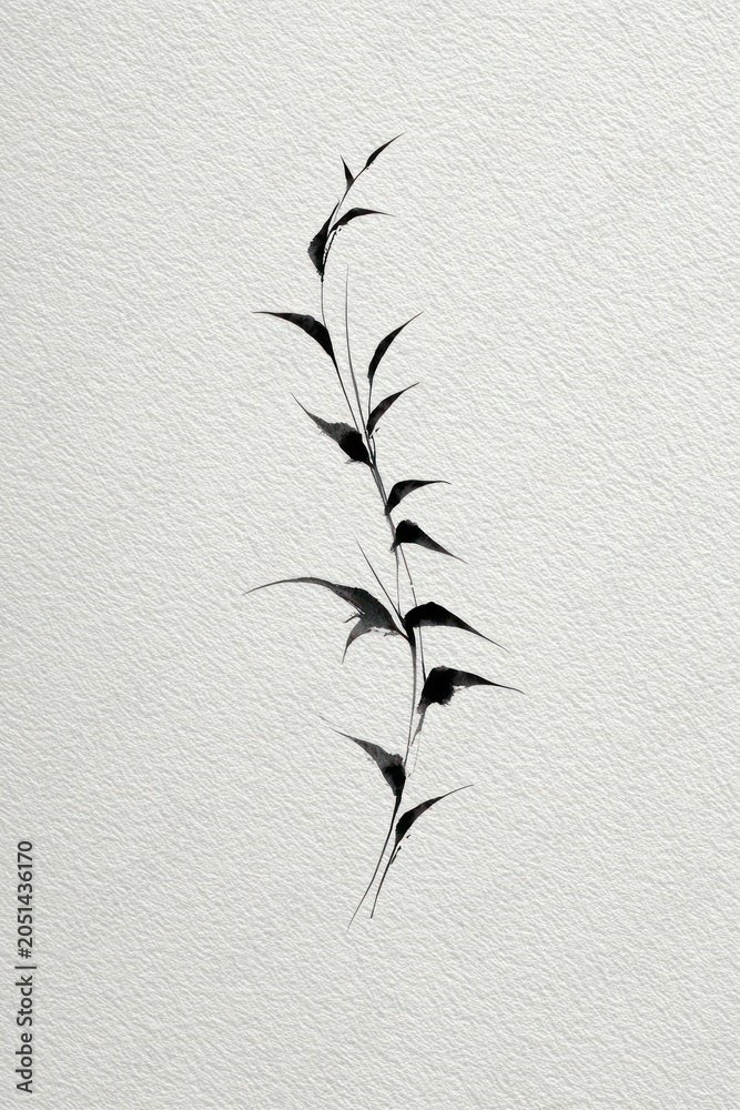 Fototapeta premium Minimalist black ink bamboo illustration.