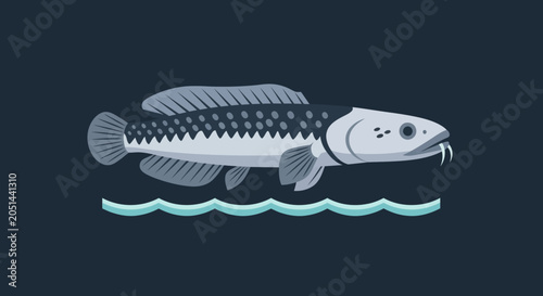 Photography Burbot Fish Illustration, Underwater Sea Life, Aquatic Animal Vector