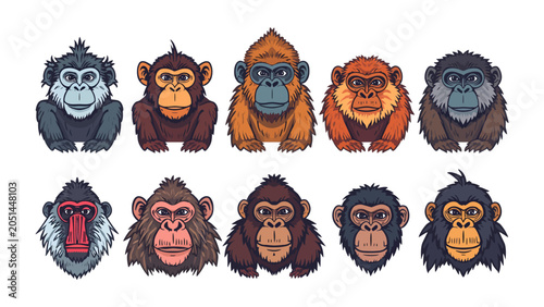 Photography Monkey Collection: A vibrant and diverse collection of cartoon monkey faces, showcasing various species with expressive eyes and distinct features, presented in a lively graphic style
