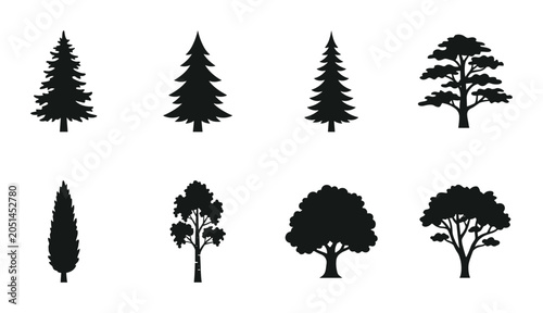 Foto Diverse Tree Silhouettes Collection: Evergreen, Deciduous, and Conifer Vector Ic