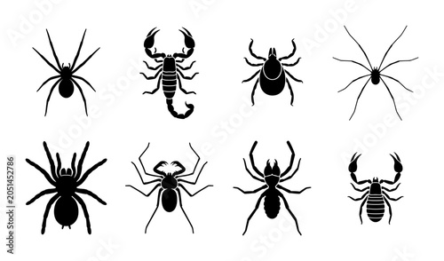 Quadro su tela Arachnid Vector Icons: Spiders, Scorpions, and Ticks Collection, Black Silhouett