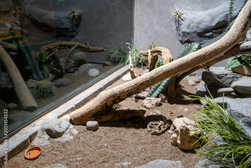 Tablou pe pânză View of reptile terrarium with sand and branches.