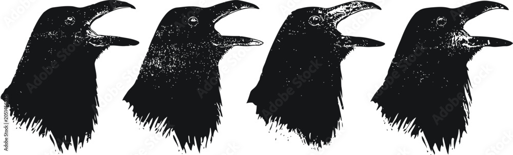 Obraz premium Four black crow heads silhouettes with open beaks in a row isolated on white background