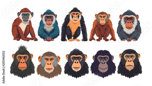 Canvas Print A Troop of Monkeys: An artistic collection featuring ten distinct monkey illustrations, each rendered with unique colors and expressions, showcasing a variety of primate species