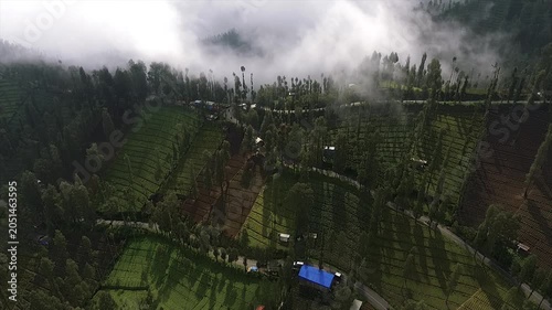 4K top down drone shot of a winding road through misty green terraced fields.