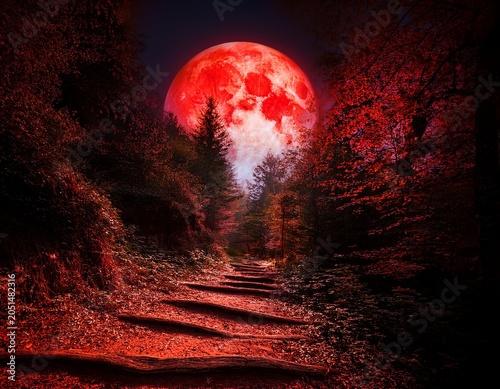 a blood red moon illuminates a twisted forest path