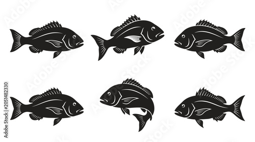 Photos different black snapper silhouettes on a clean white background, minimalist vector style