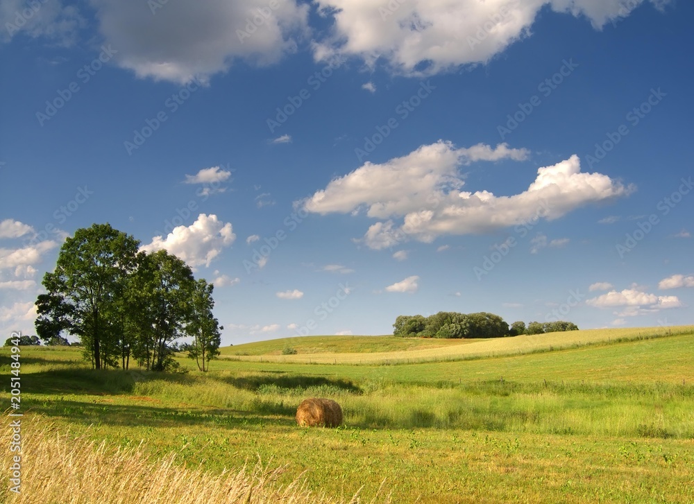 Obraz premium Summer rural landscape in full sun, under a blue sky.