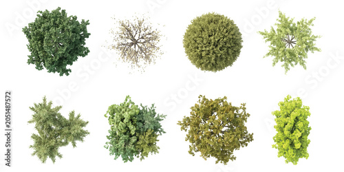 Foto Set of eight different green trees seen from above for landscape design and arch