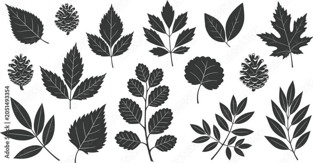 Obraz premium Black silhouette collection of diverse leaves and pinecones isolated on transparent background vector illustration