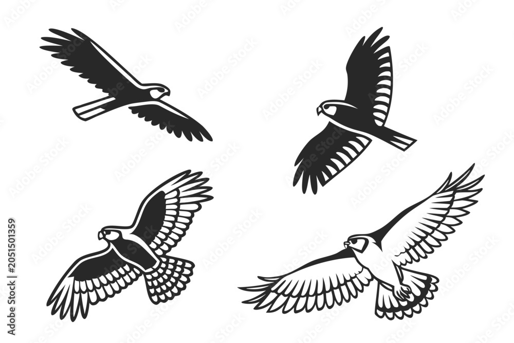 Obraz premium Four birds flying in a line formation