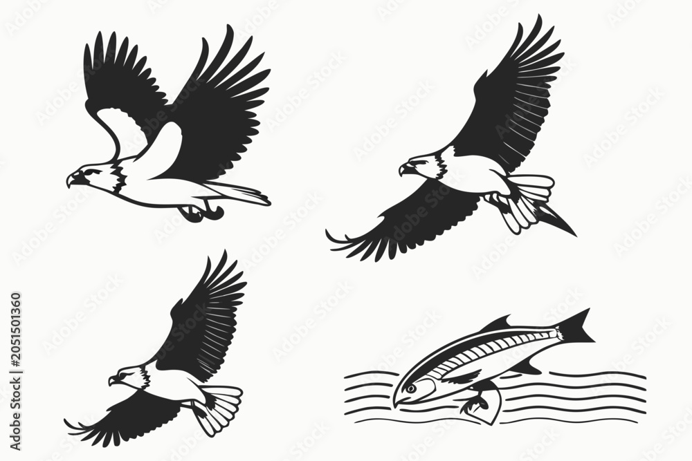 Obraz premium Four birds flying and swimming in nature