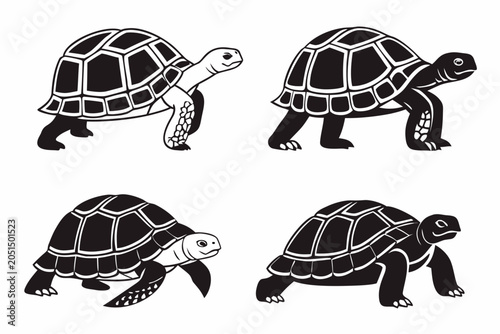 Five cartoon turtles walking in a line