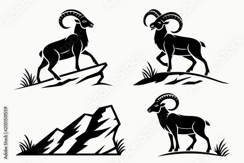 Black and white mountain goats climbing rocky terrain