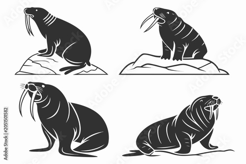 Cartoon walrus sitting and lying poses