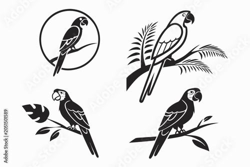 Four cartoon birds perched on branches illustration