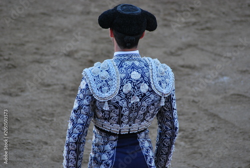 Obraz na plátně Torero